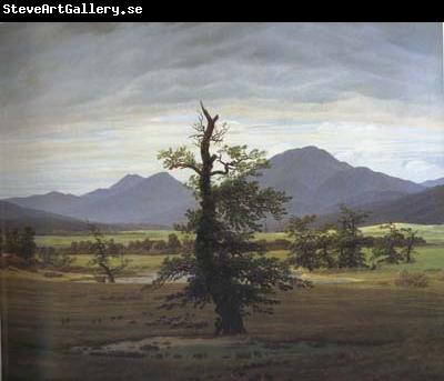 Caspar David Friedrich Landscape with Solitary Tree (mk10)